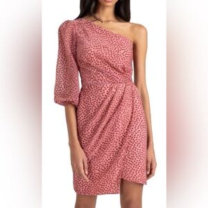 Shoshanna Zadie Wrap Dress Size 2 Pink Sheer Sleeves Wedding Guest Retail $422